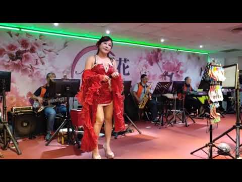新櫻花音樂 2019 10 26 吳桂芬演唱女人的眼淚