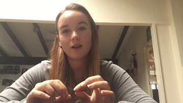 Teaching Portfolio Introduction