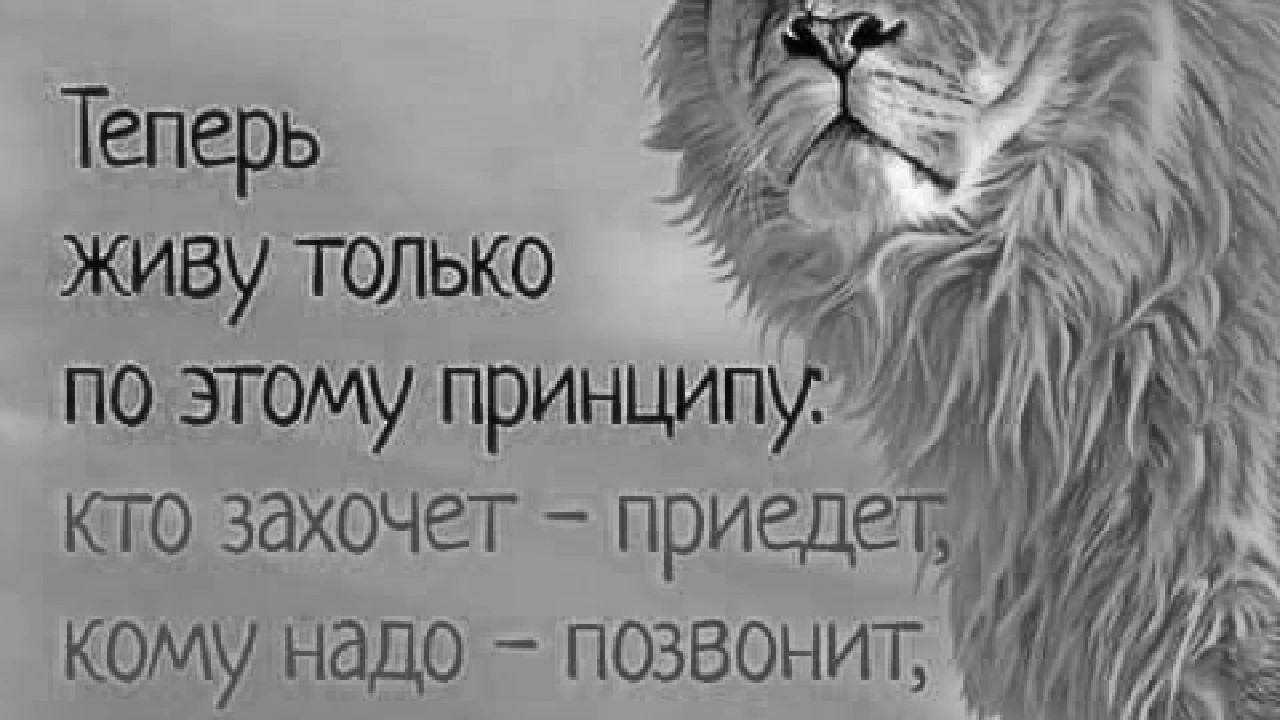 Только живи только целыми. Теперь живу по такому принципу. Теперь живу по принципу кому надо позвонит кто скучает найдет. Теперь живу по этим принципам. Теперь я живу по такому принципу.