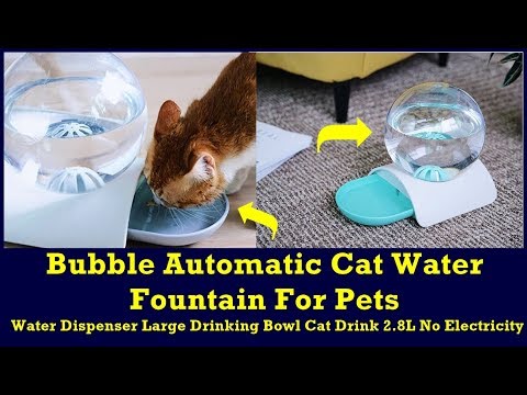 bubble-automatic-cat-water-fountain-for-pets-water-dispenser-large-drinking-bowl-cat-drink-2.8l
