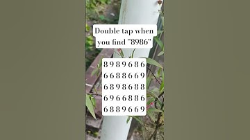 Observation Visual Test: 5 Seconds For You To Spot:8986 . Try Your Skills!  #search #puzzle #shorts