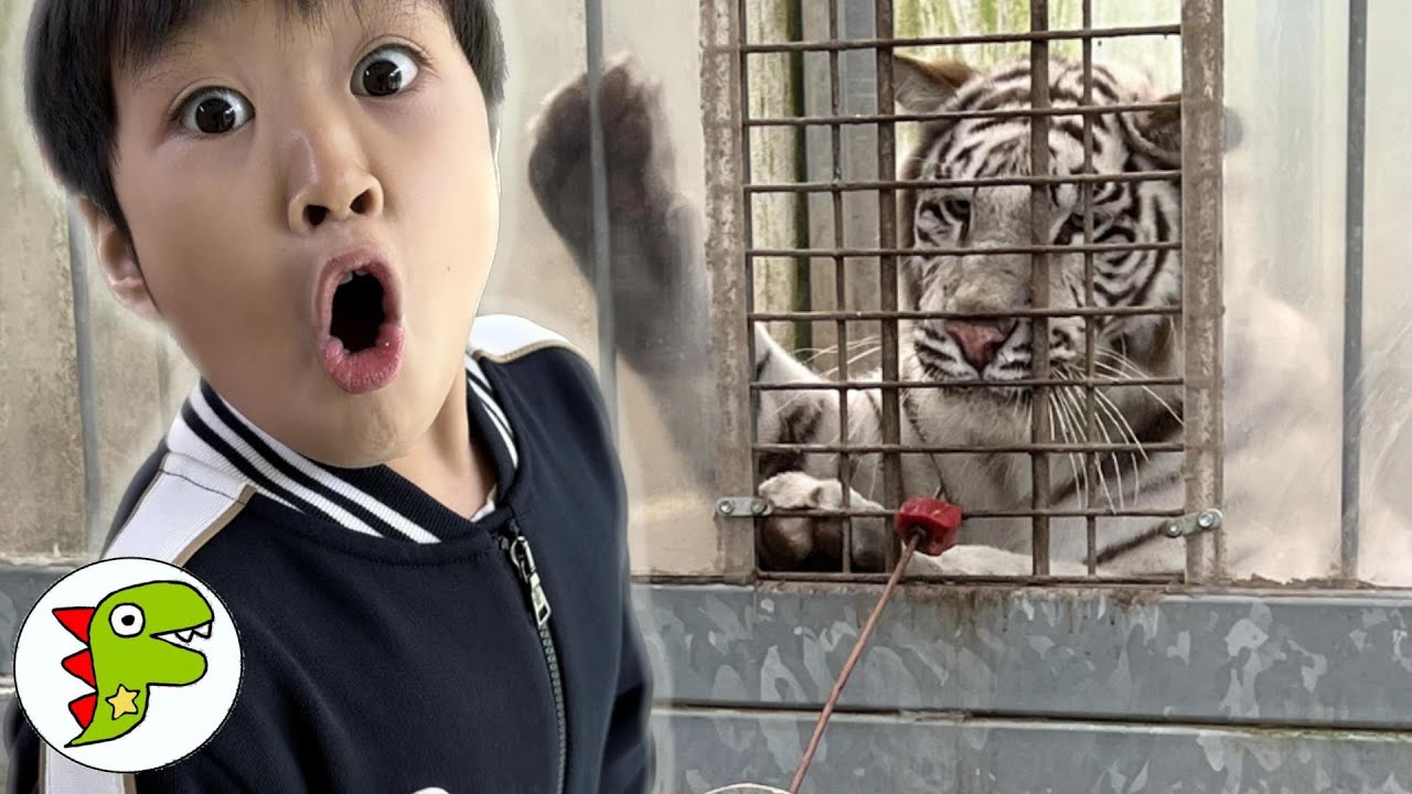 レオくんがおでかけ！ Part1 トイキッズ - YouTube