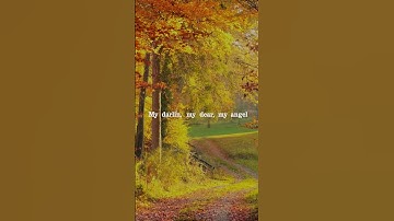 Thumbnail of TajMo - My Darling My Dear # #kebmo #tajmahal #bluesmusic