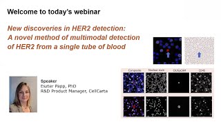 New discoveries HER2 detection: Novel method multimodal detection of HER2 from single tube of blood