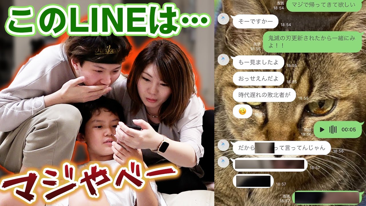 くんちゃんページ しまちゃん壁紙／八戸市