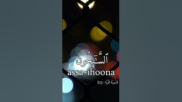 تلاوة من سورة التوبة....تلاوه هادئه تريح الاعصاب...😴