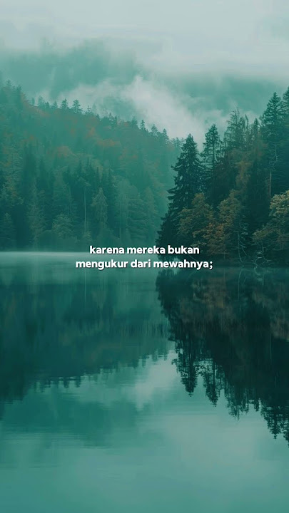 Merasa Indah #tiaraandini #trandingshorts #youtube #story #storywa #history