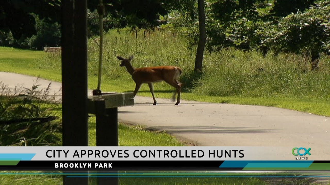Brooklyn Park Deer Herd on the Grow center for reproductive rights