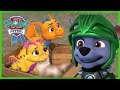PAW Patrol Rescue Knights Save Baby Dragons and More! | PAW Patrol | Cartoons for Kids
