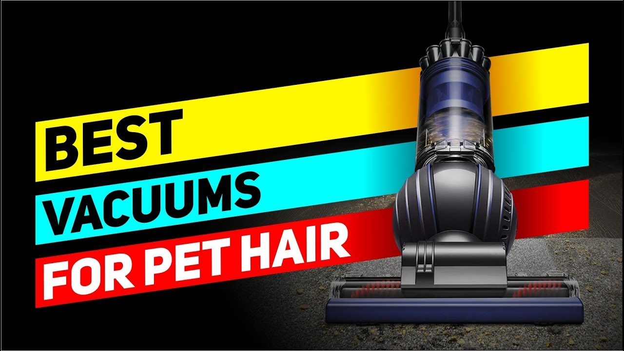 Top 5 Vacuums for Pet Hair in 2024 👌 YouTube