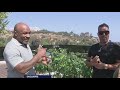 Mike Tyson discusses helping grow $44M mansion into 'Tyson Ranch'