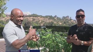 Mike Tyson discusses helping grow $44M mansion into 'Tyson Ranch'