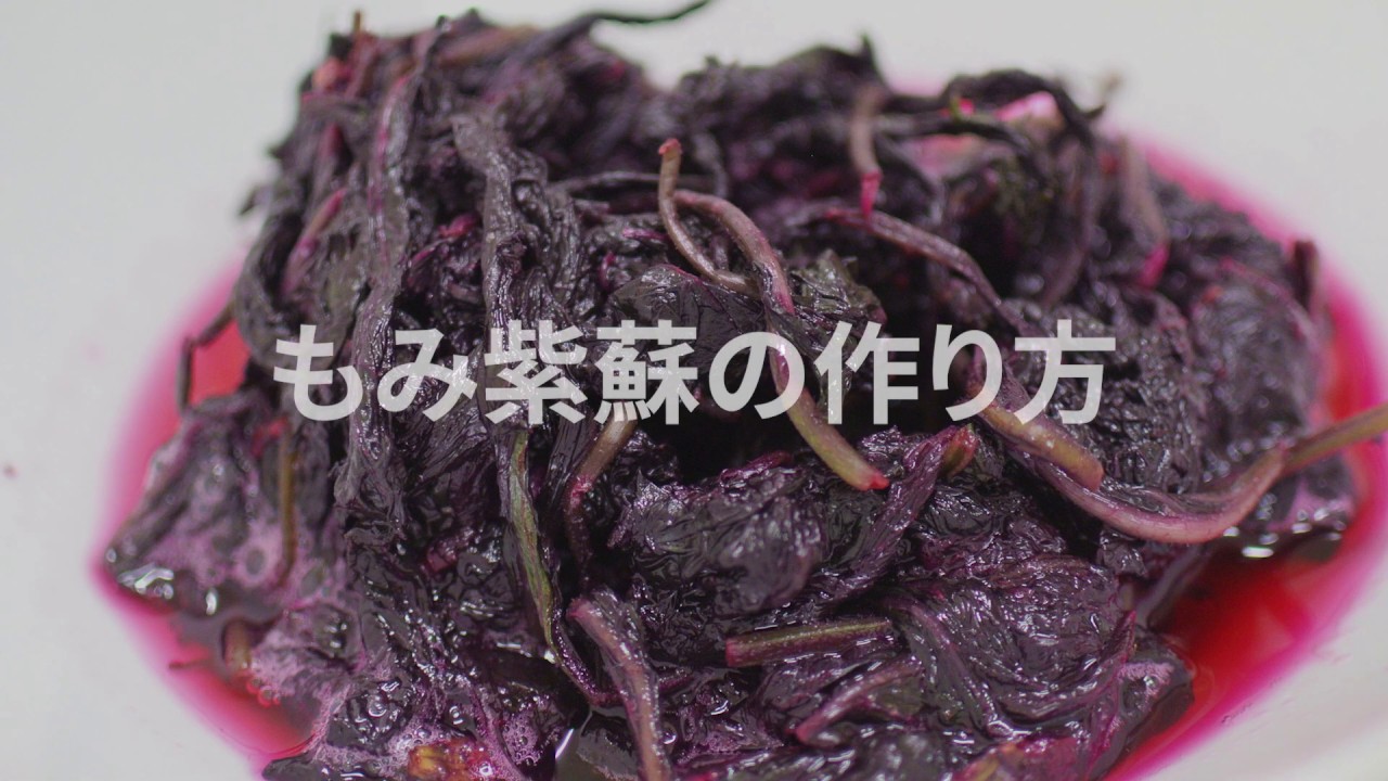 もみ紫蘇 の作り方 梅干しの色付けに 京都大原 辻しば漬本舗 Youtube