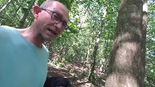 06 2019 Park Woluwe 15 by Alex Kopke 192 views 4 years ago 2 minutes, 31 seconds