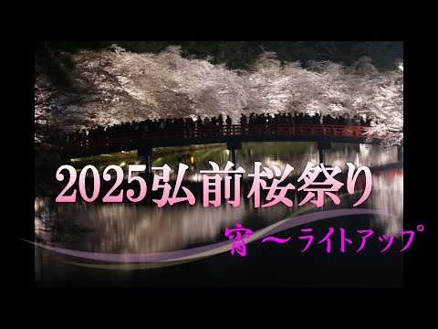 2025弘前桜まつり 宵~ライトアップ