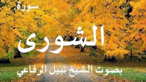 سورة الشورى بصوت الشيخ نبيل الرفاعي 42