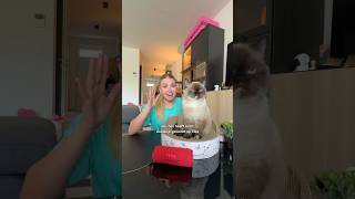 PRATEN MET JE KAT?!😳