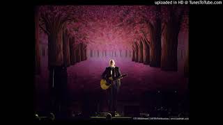 "The World's Fair" Smashing Pumpkins In Plainsong LIVE 2016