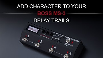 Add Character To Your MS-3 Delay Trails