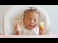 BABY KIRAH VS LEMON