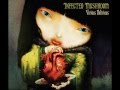 Infected Mushroom - Vicious Delicious Full album