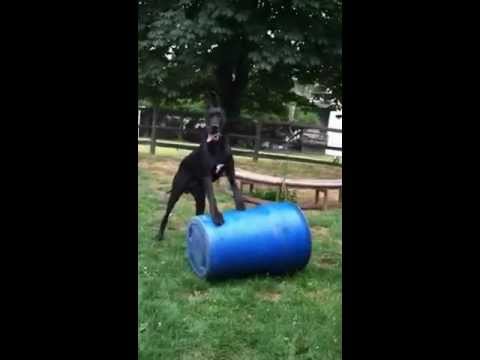mason rolling out the barrell
