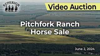 Pitchfork Ranch Horse Sale