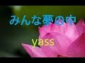 みんな夢の中(玉置浩二)  /  歌唱  yass