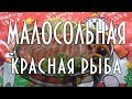 Дикий лосось, малосольная красная рыба. Нежная, как масло 🦐