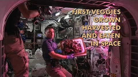 Astronauts eat space salad in a dying universe - DayDayNews