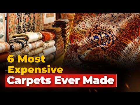 What Type Of Carpet Is The Most Expensive