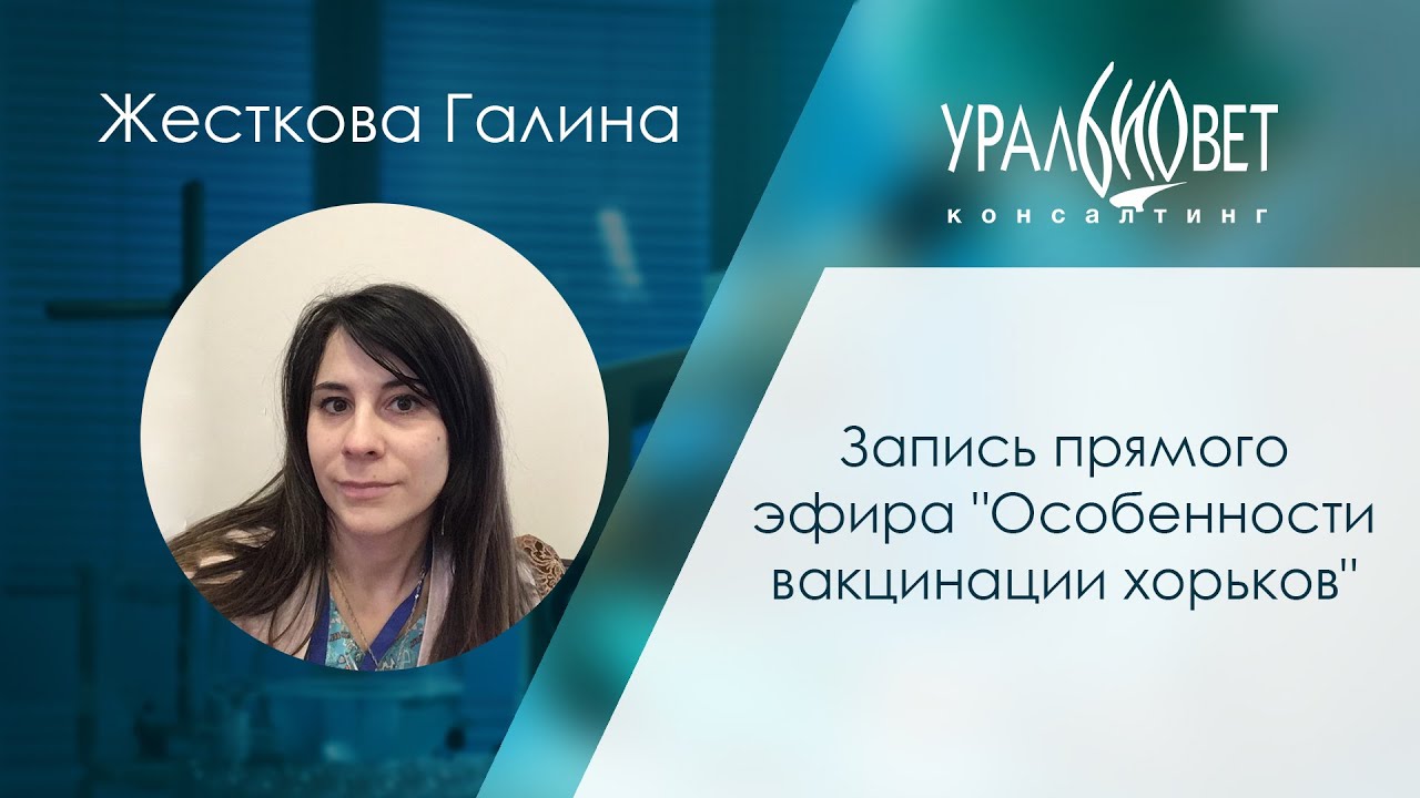Запись прямого эфира "Особенности вакцинации хорьков". Жесткова Галина #убвк_экзотические_животные