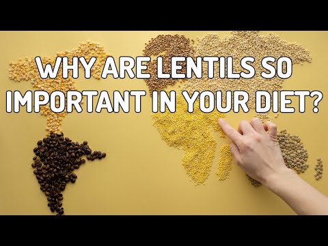 Lentils:  Nutrition, Benefits, and How to Cook Them