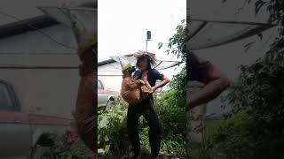 Bodoh Amatlah Mbah Yg Penting Kami Joget