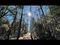 Camping At Suwannee River State Park