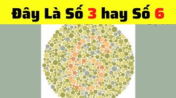 Thử Kiểm Tra Xem Mắt Bạn Bị Mù Màu Hay Bình Thường Bằng Bài Test Nhanh Dưới Đây Nhé