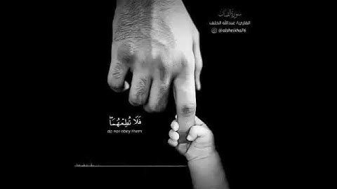 استمع. لا اجمل تلاوة ووصينا الإنسان بوالديه