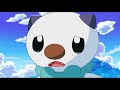 15ai testpokemon oshawott caughts shinx and eevee