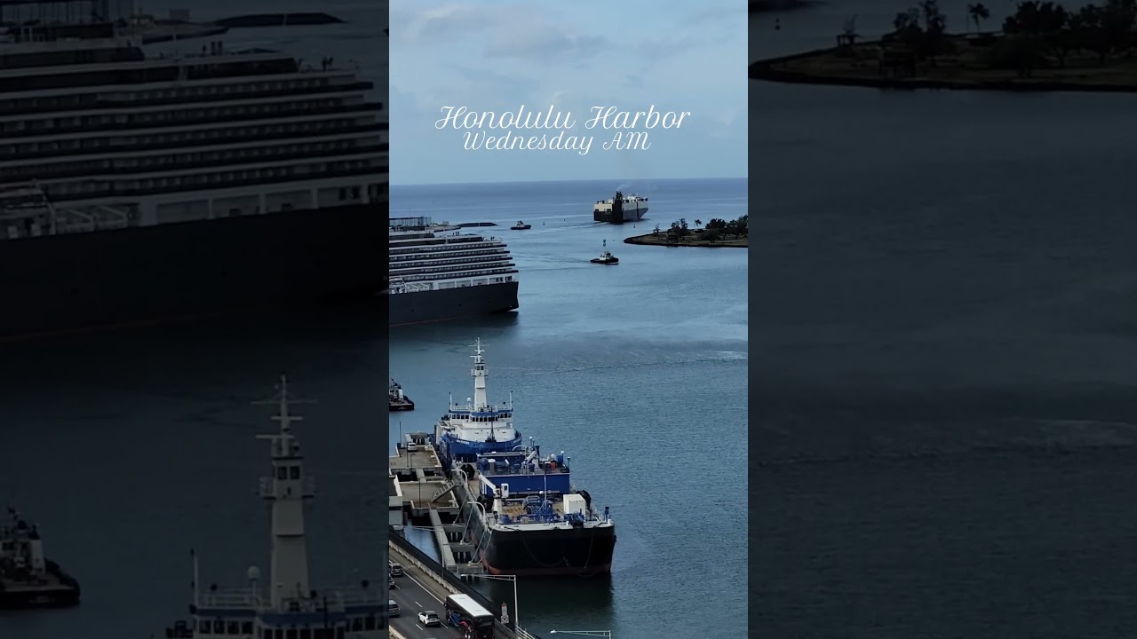 Wednesday AM #honoluluharbor The Noordamsea arrived 6:30 this morning & departs Friday 8 pm to Maui.