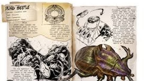 Fast dung beetle Taming Guide :: Ark : Mobile