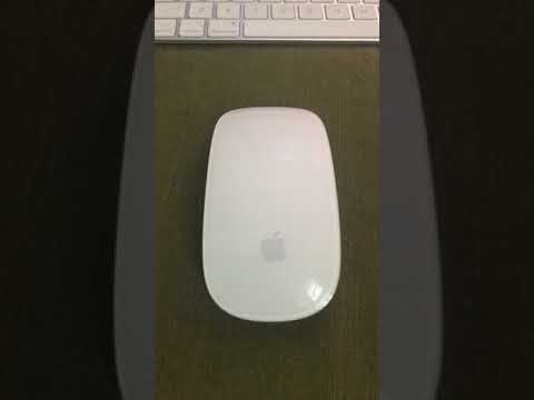 Apple Magic Mouse 2 not working easy fix save money not connecting to Mac fully charged wireless fix