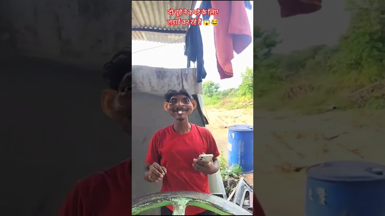 चूहे ने कपड़े के लिए लड़ाई कर रहे हैं 😱😂