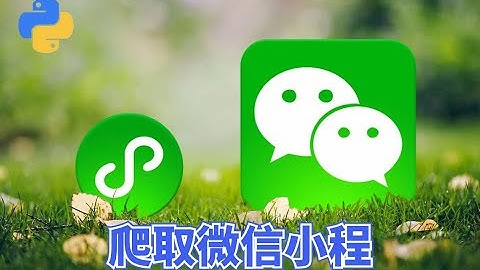 实现爬取微信小程序【Python】
