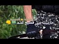 عمري ما عرفته للقاع لانه عيني القيمه