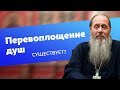 Существует ли перевоплощение душ? (прот. Владимир Головин)