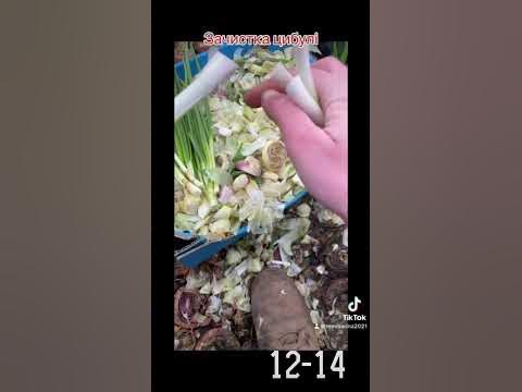Як чистити цибулю. Зелена цибуля. Цибуля на перо. - YouTube