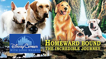 Homeward Bound and The Incredible Journey - DisneyCember