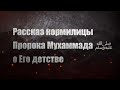 Рассказ кормилицы Пророка Мухаммада ﷺ о Его детстве