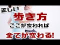 【歩き方】この事を知るだけでわざわざ運動しなくても健康に！！【腰の王子】【リョウ国王】