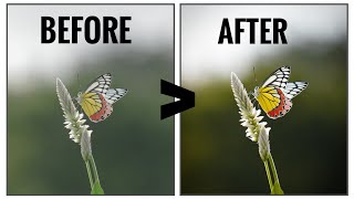 lightroom mobile photo editing | wildlife photography editing | lightroom mobile editing tutorial | screenshot 5